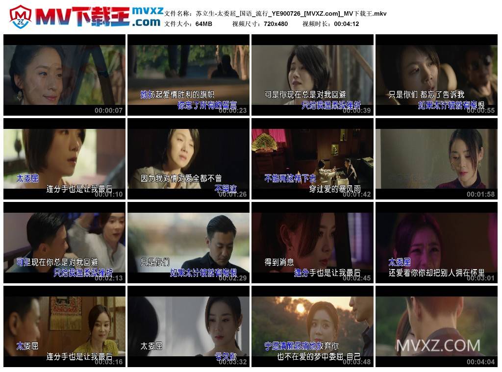 苏立生-太委屈_国语_流行_YE900726